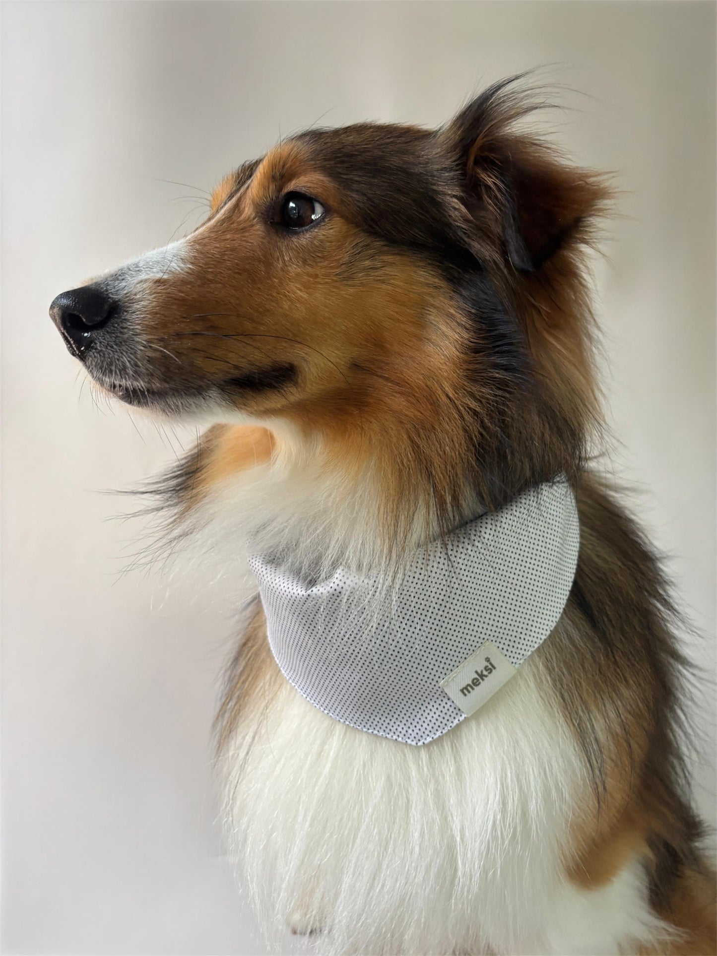 Bandana Walnut White