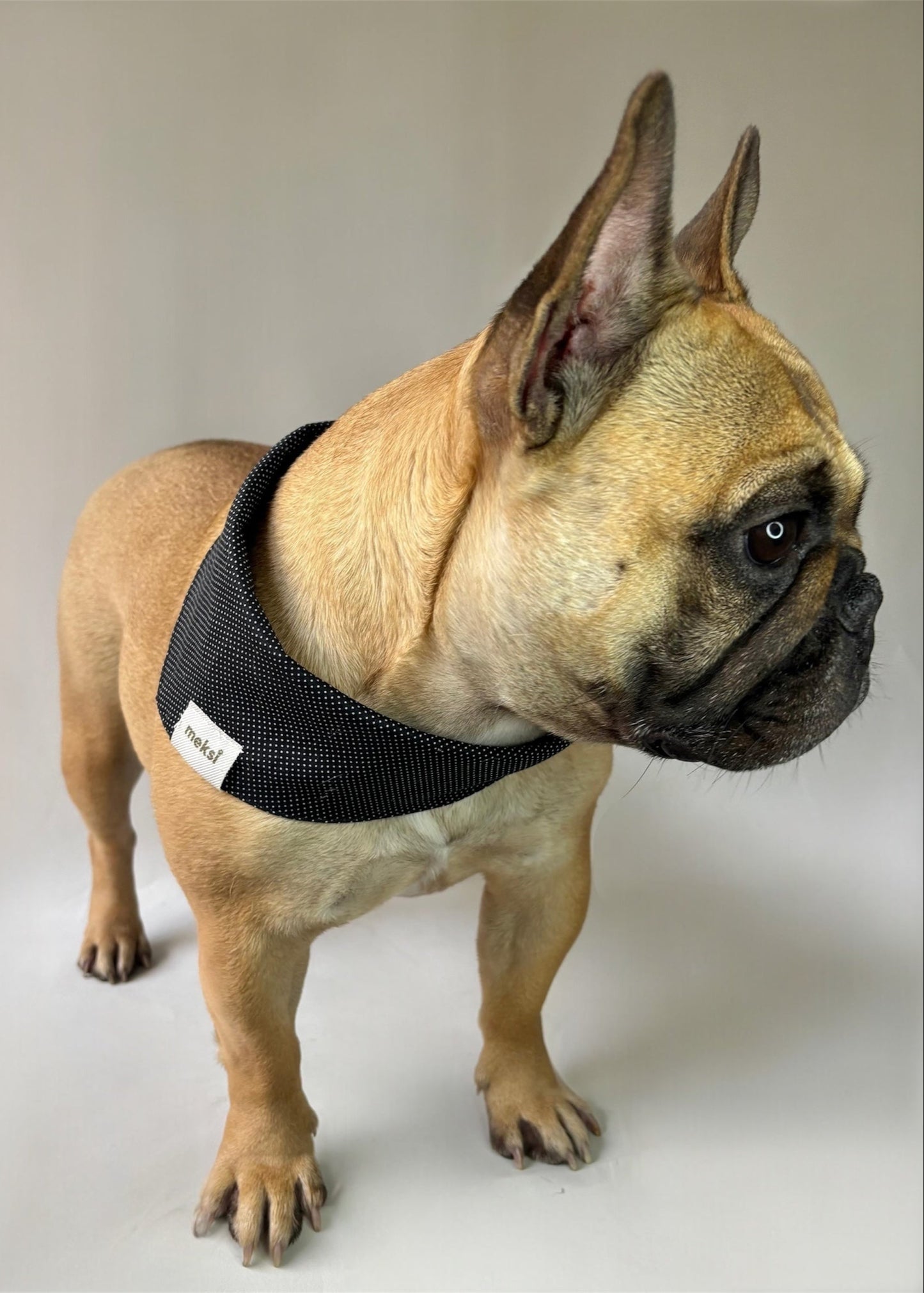 Bandana Black & White