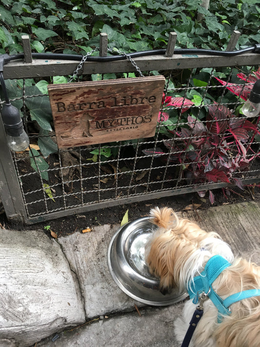 Espacios pet friendly, mas que una tendencia!