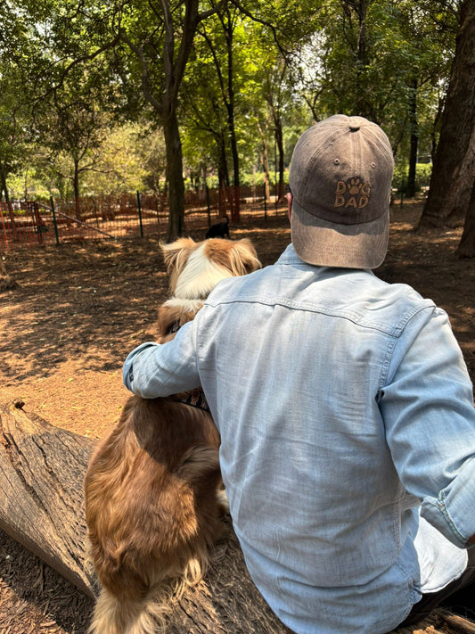 Cómo saber si estás listo para tener un perro