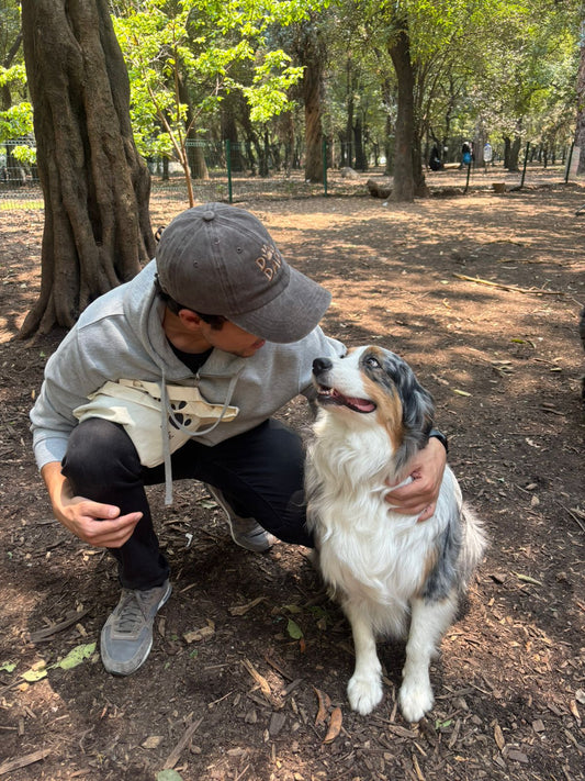 Ser un Dog Dad