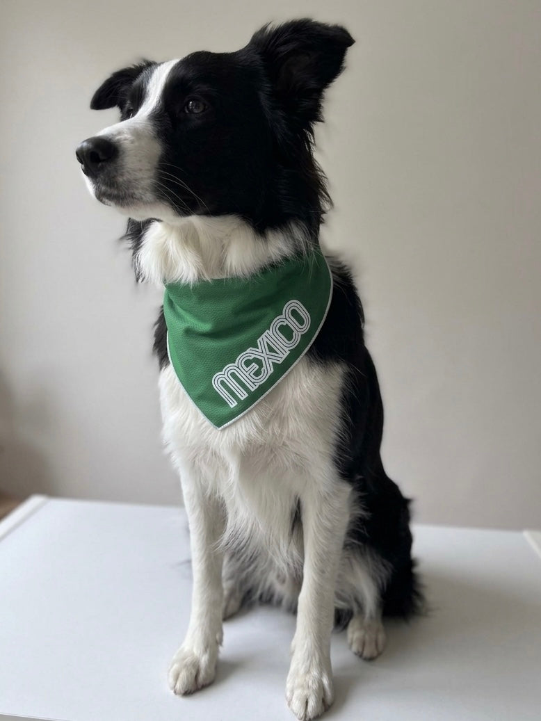 Bandana MEXICO
