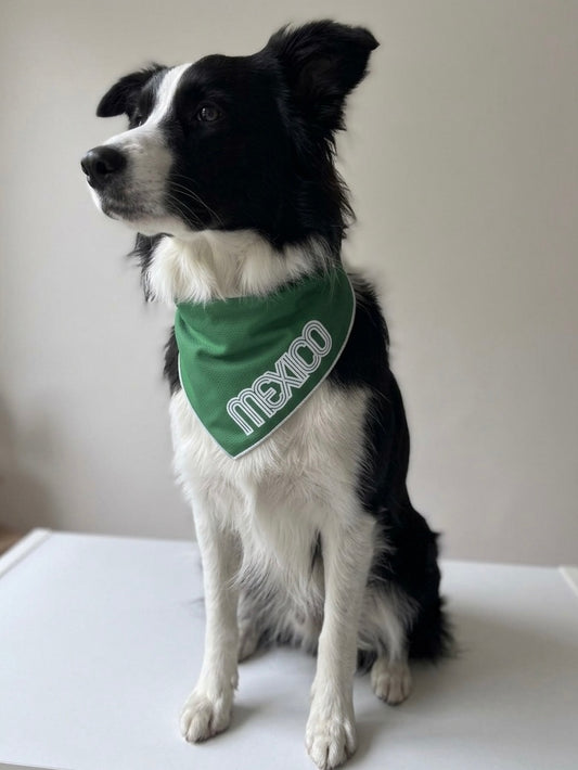 Bandana MEXICO