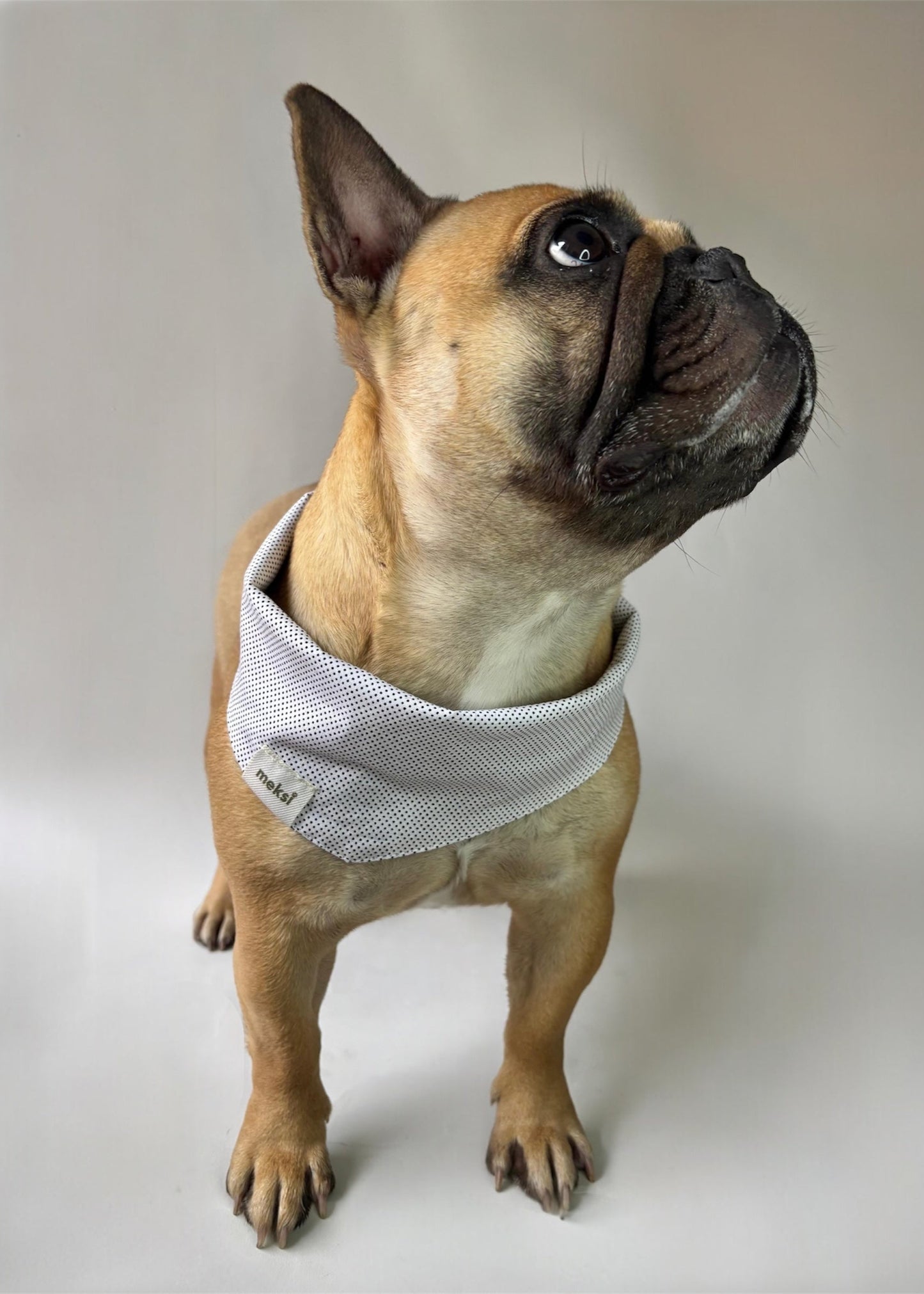 Bandana Black & White