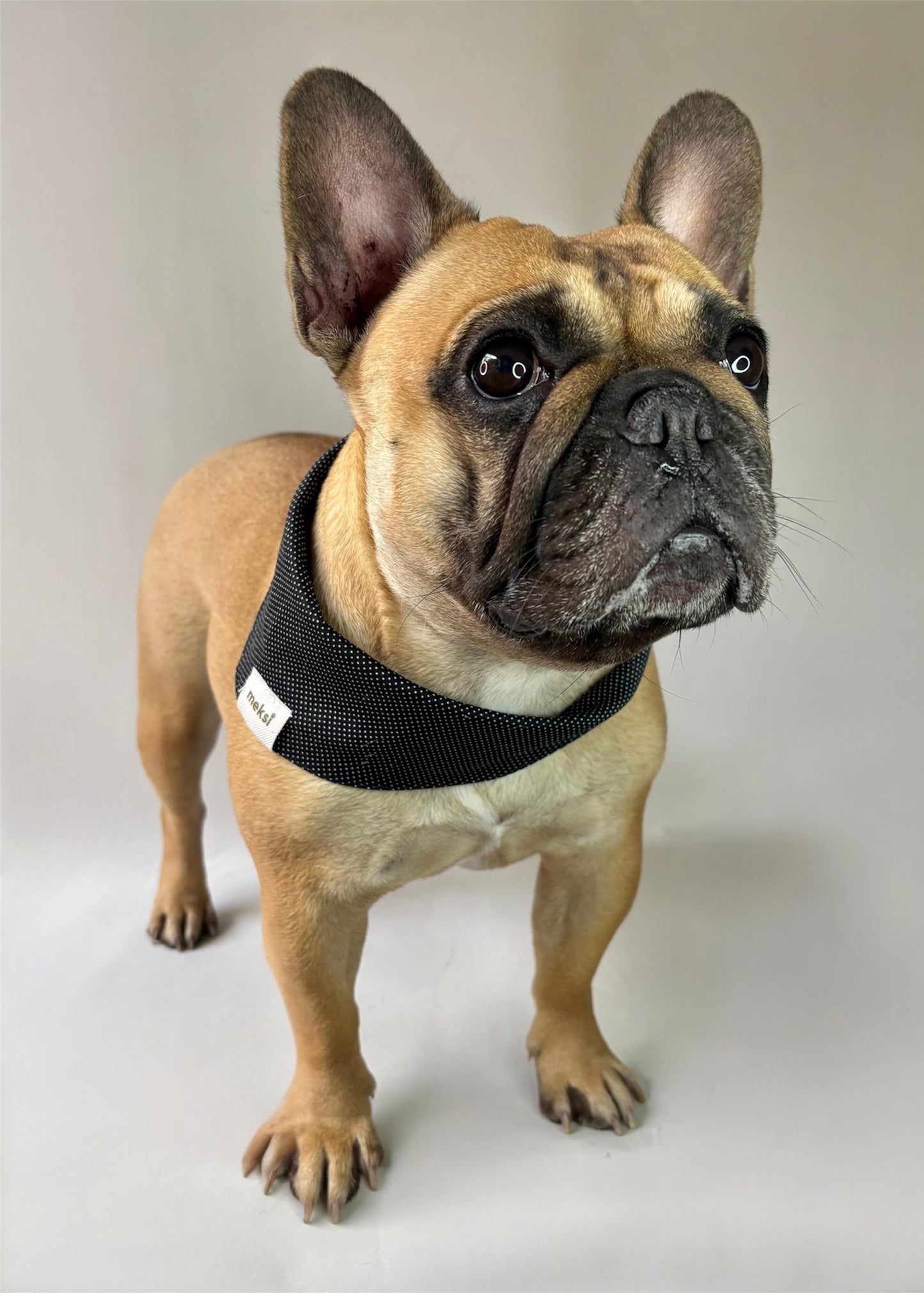 Bandana Black & White