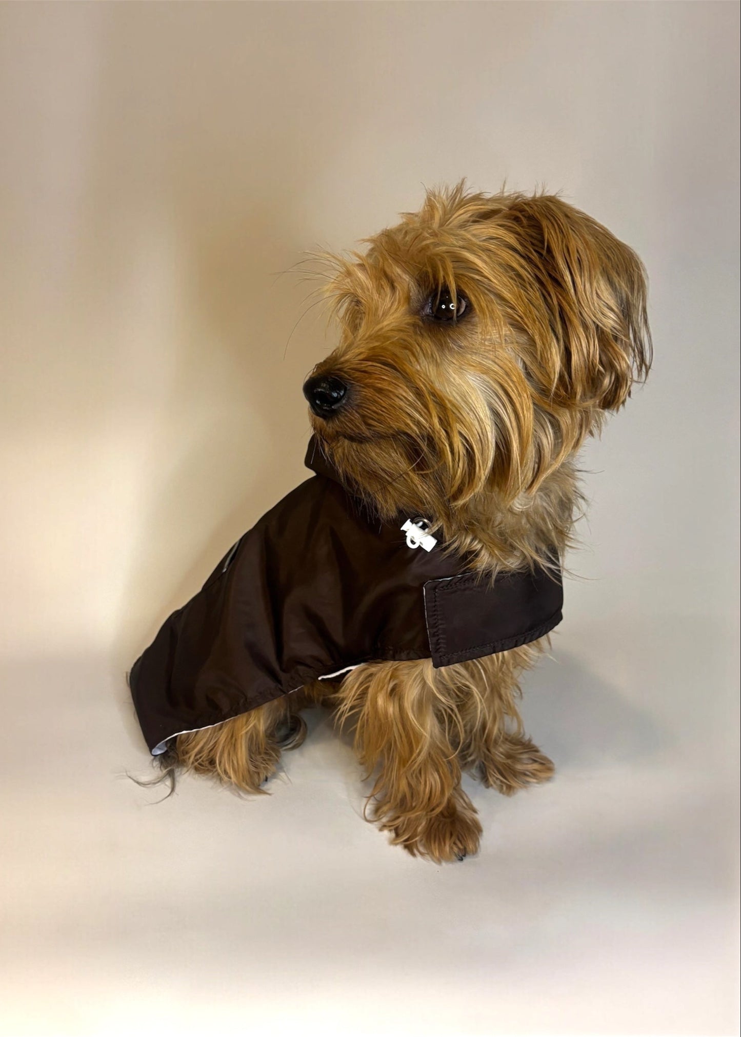 Raincoat chocolate