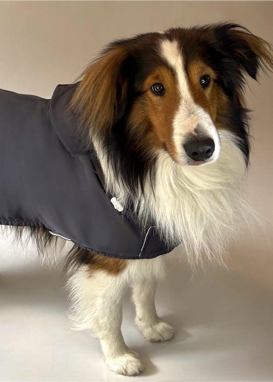 Raincoat dark gray