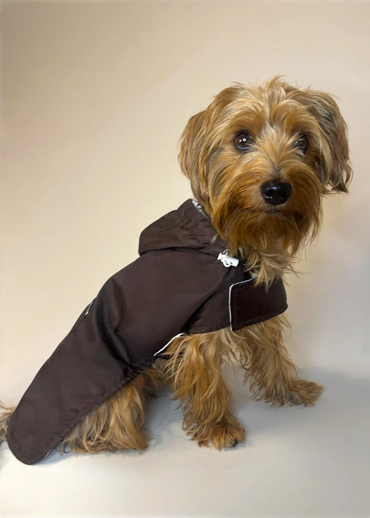 Raincoat chocolate