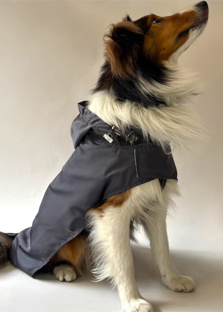 Raincoat dark gray