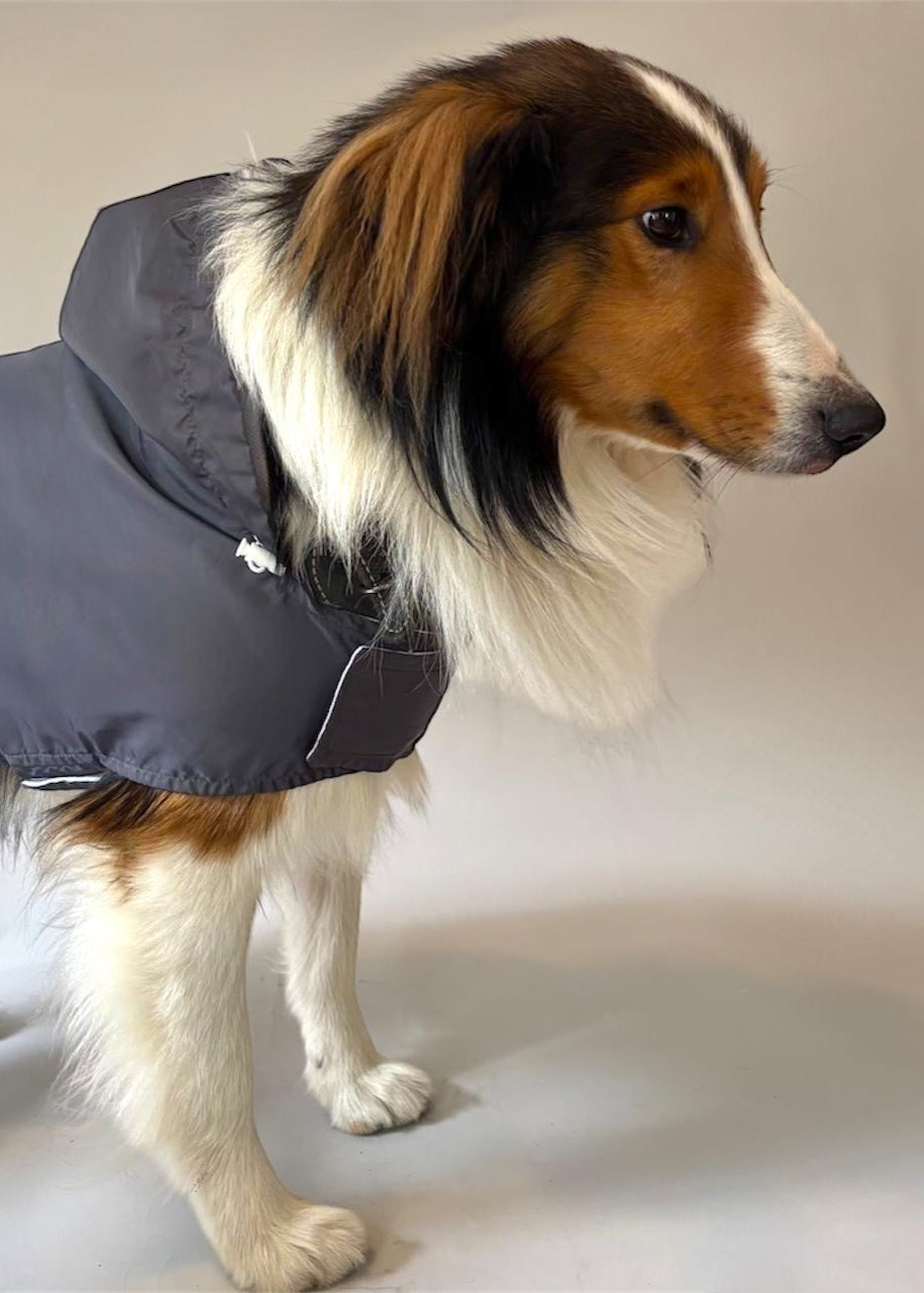 Raincoat dark gray