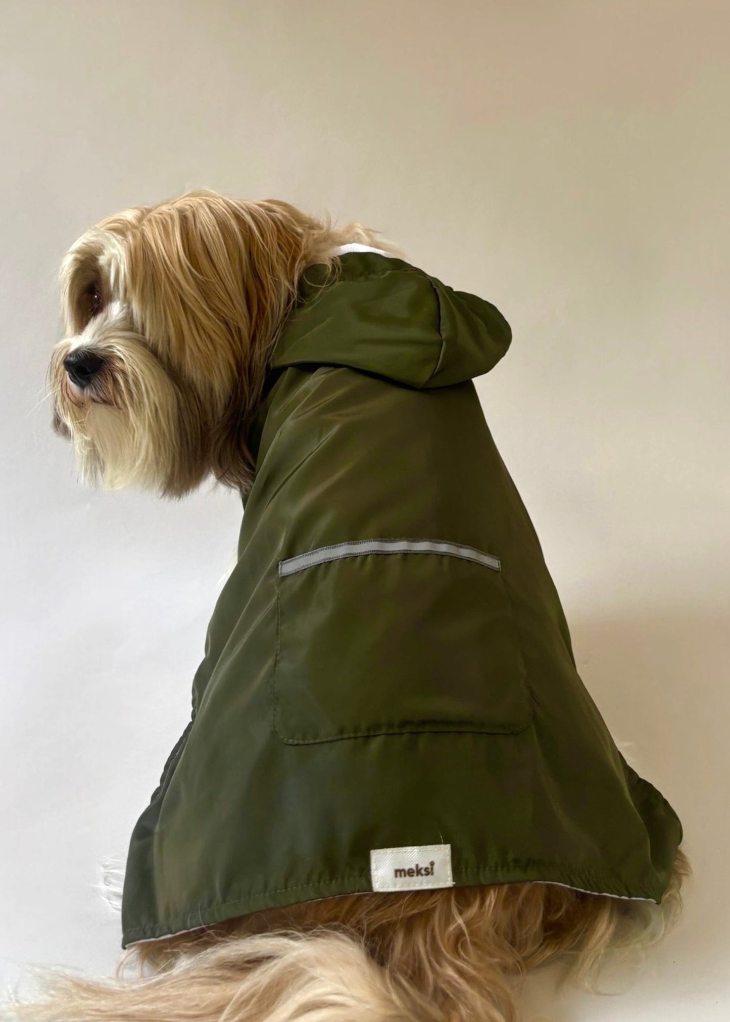Raincoat green forest