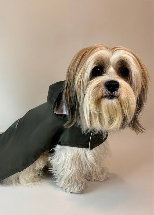 Raincoat green forest