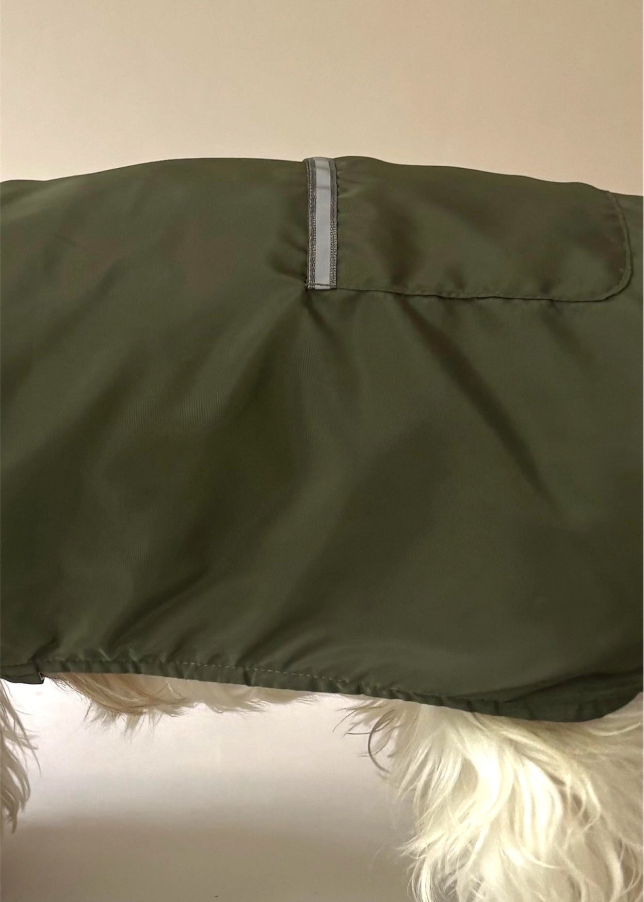Raincoat green forest