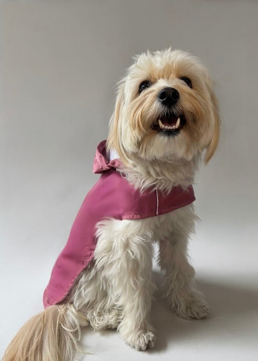 Raincoat pink rosé