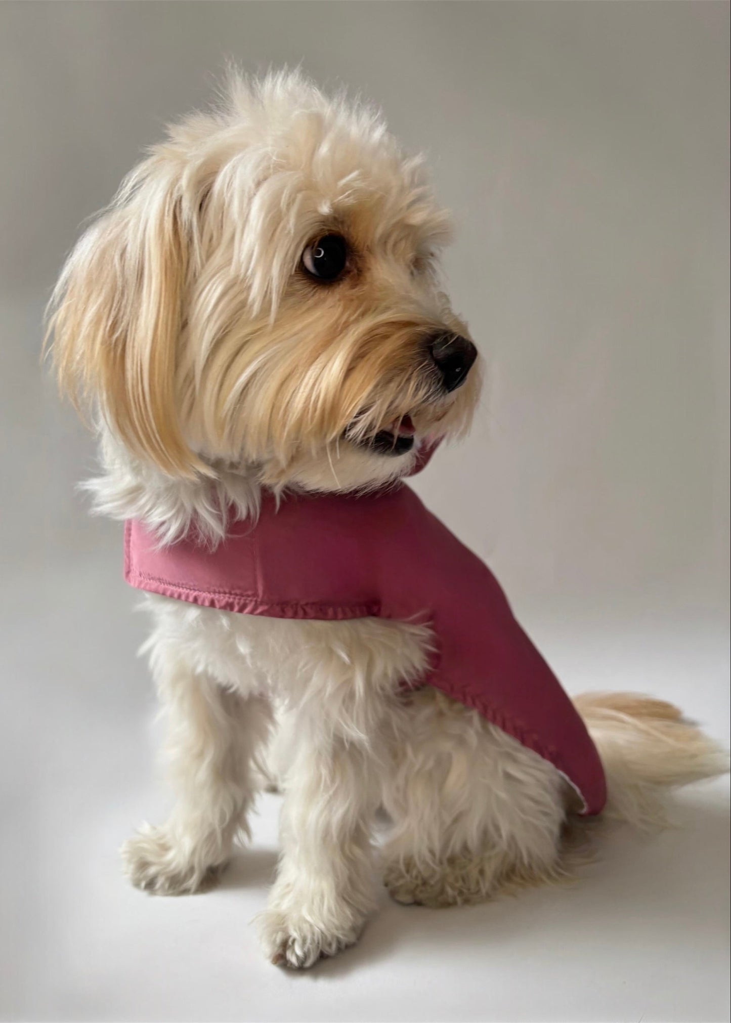 Raincoat pink rosé