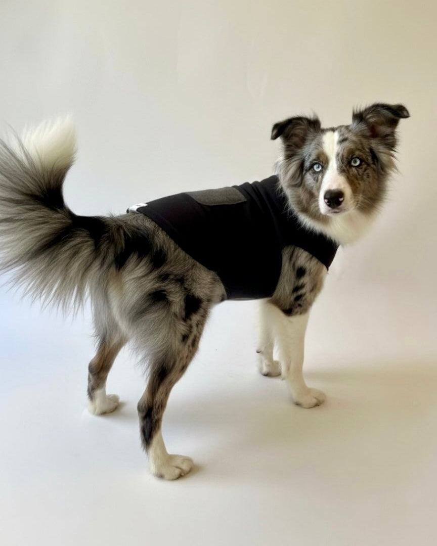 Pullover Reversible Black & Oxford